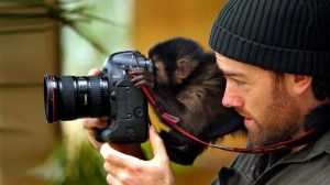 میمون در حال تماشا از ویزور دوربین