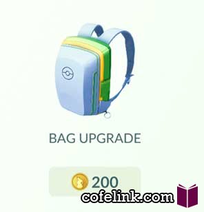 Bag Upgrade